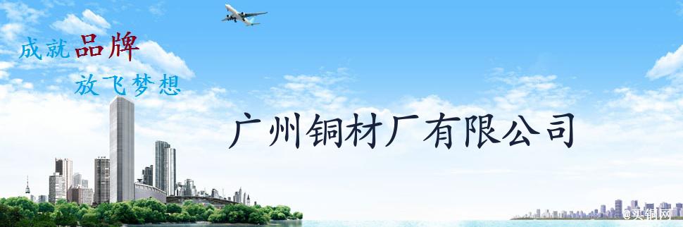 公司簡介