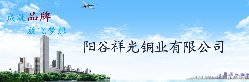 公司簡介